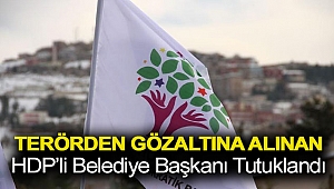 Terörden gözaltına alınan HDP’li belediye başkanı tutuklandı