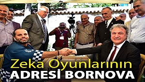 Zeka oyunlarının adresi Bornova