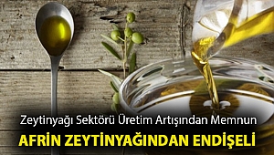 ZEYTİNYAĞI SEKTÖRÜ ÜRETİM ARTIŞINDAN MEMNUN, AFRİN ZEYTİNYAĞINDAN ENDİŞELİ