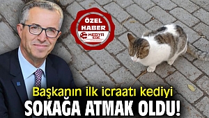 Başkanın ilk icraatı kediyi sokağa atmak oldu!
