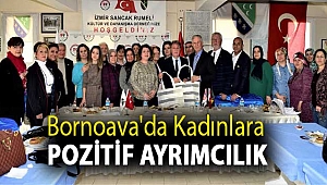 Bornoava'da kadınlara pozitif ayrımcılık