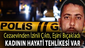 Cezaevinden izinli çıktı, eşini bıçakladı: Kadının hayati tehlikesi var