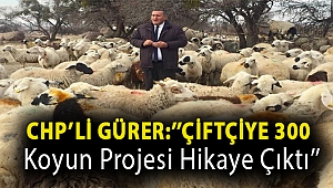 CHP'li Gürer:''Çiftçiye 300 koyun projesi hikaye çıktı''