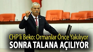 CHP Milletvekili Kani Beko: Ormanlar önce yakılıyor sonra talana açılıyor
