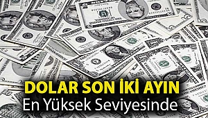 Dolar son iki ayın en yüksek seviyesinde