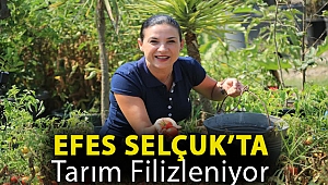 EFES SELÇUK’TA TARIM FİLİZLENİYOR