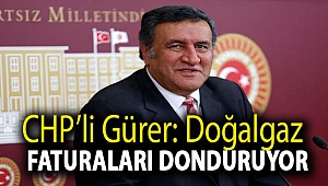Gürer: Doğalgaz faturaları donduruyor