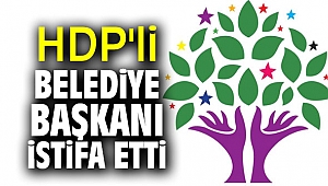 Halkların Demokratik Partisi'nde flaş istifa