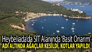 Heybeliada’da SİT alanında ‘basit onarım’ adı altında ağaçlar kesildi, kotlar yapıldı