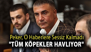 Peker, o haberlere sessiz kalmadı