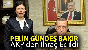 Pelin Gündeş Bakır AKP'den ihraç edildi