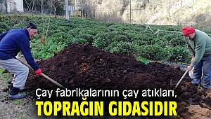 TEMA: