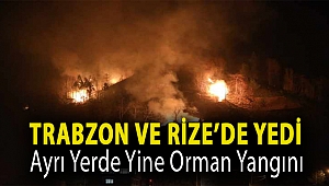 Trabzon ve Rize'de yedi ayrı yerde yine orman yangını