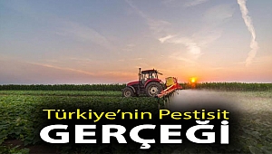 Türkiye’nin Pestisit Gerçeği