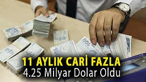 11 aylık cari fazla 4.25 milyar dolar oldu