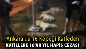 Ankara'da 16 köpeği katleden katillere 10'ar yıl hapis cezası