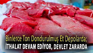 Binlerce ton dondurulmuş et depolarda; ithalat devam ediyor, devlet zararda