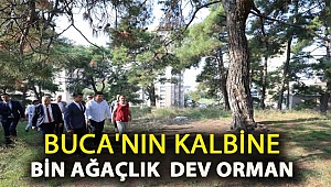 Buca'nın Kalbine Bin Ağaçlık Dev Orman