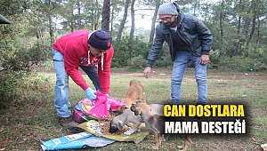 Can Dostlara Mama Desteği