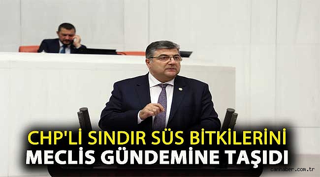 CHP’li Sındır Süs Bitkilerini Meclis Gündemine Taşıdı