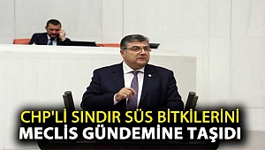 CHP’li Sındır Süs Bitkilerini Meclis Gündemine Taşıdı