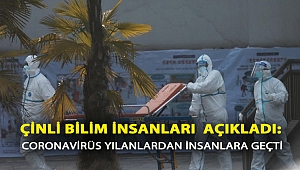 Çinli bilim insanları: Coronavirüs yılanlardan insanlara geçti!