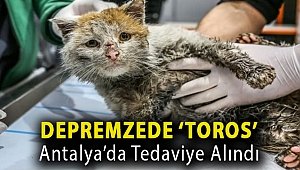 Depremzede ‘Toros’ Antalya’da tedaviye alındı