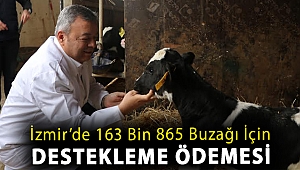 İZMİR’DE 163 BİN 865 BUZAĞI İÇİN DESTEKLEME ÖDEMESİ