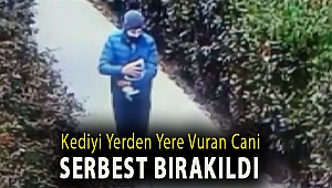 Kediyi yerden yere vuran cani serbest bırakıldı