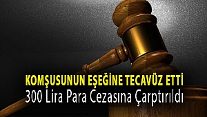 Komşusunun eşeğine tecavüz etti; 300 lira para cezasına çarptırıldı