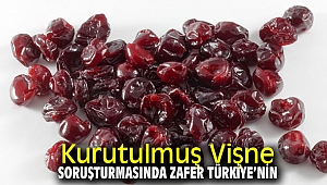 Kurutulmuş Vişne Soruşturmasında Zafer Türkiye’nin!