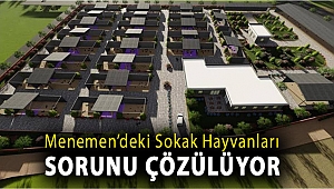 Menemen’deki sokak hayvanları sorunu çözülüyor