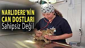 Narlıdere’nin can dostları sahipsiz değil!