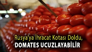 Rusya’ya ihracat kotası doldu, domates ucuzlayabilir
