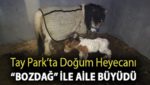 Tay Park’ta doğum heyecanı “Bozdağ” ile aile büyüdü