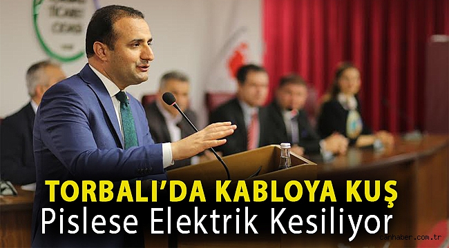 Torbalı'da kabloya kuş pislese elektrik kesiliyor