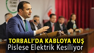 Torbalı'da kabloya kuş pislese elektrik kesiliyor