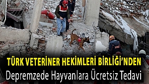Türk Veteriner Hekimleri Birliği’nden depremzede hayvanlara ücretsiz tedavi