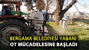 Bergama Belediyesi yabani ot mücadelesine başladı