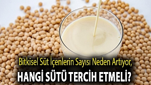 Bitkisel süt içenlerin sayısı neden artıyor, hangi sütü tercih etmeli?