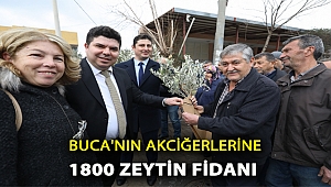 Buca’nın akciğerlerine 1800 zeytin fidanı