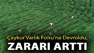 Çaykur Varlık Fonu'na devroldu, zararı arttı