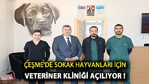 Çeşme’de sokak hayvanları için veteriner kliniği açılıyor!