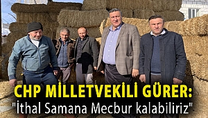 CHP Milletvekili Gürer