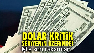 Dolar kritik seviyenin üzerinde!