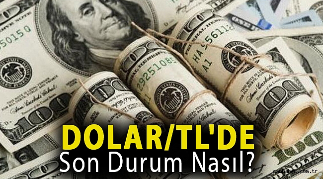 Dolar/TL'de son durum nasıl?