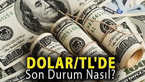 Dolar/TL'de son durum nasıl?