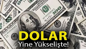 Dolar yine yükselişte!