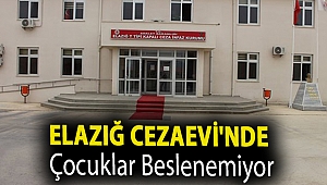 Elazığ Cezaevi'nde çocuklar beslenemiyor