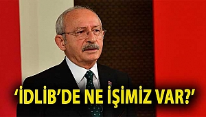 ‘İdlib’de ne işimiz var?’